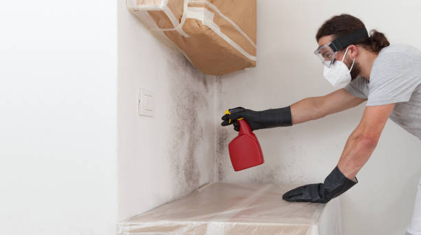 Professional Attic Mold Removal technician working in Merrick, NY